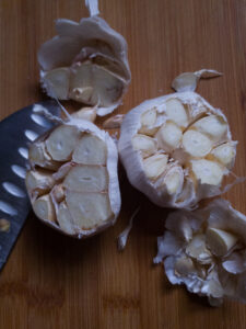 garlic bulbs with tops cut off roasted garlic recipe cleveland cooking