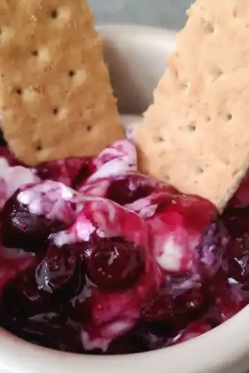lemon blueberry ricotta dip with graham crackers for dipping. The recipe is from cleveland cooking.
