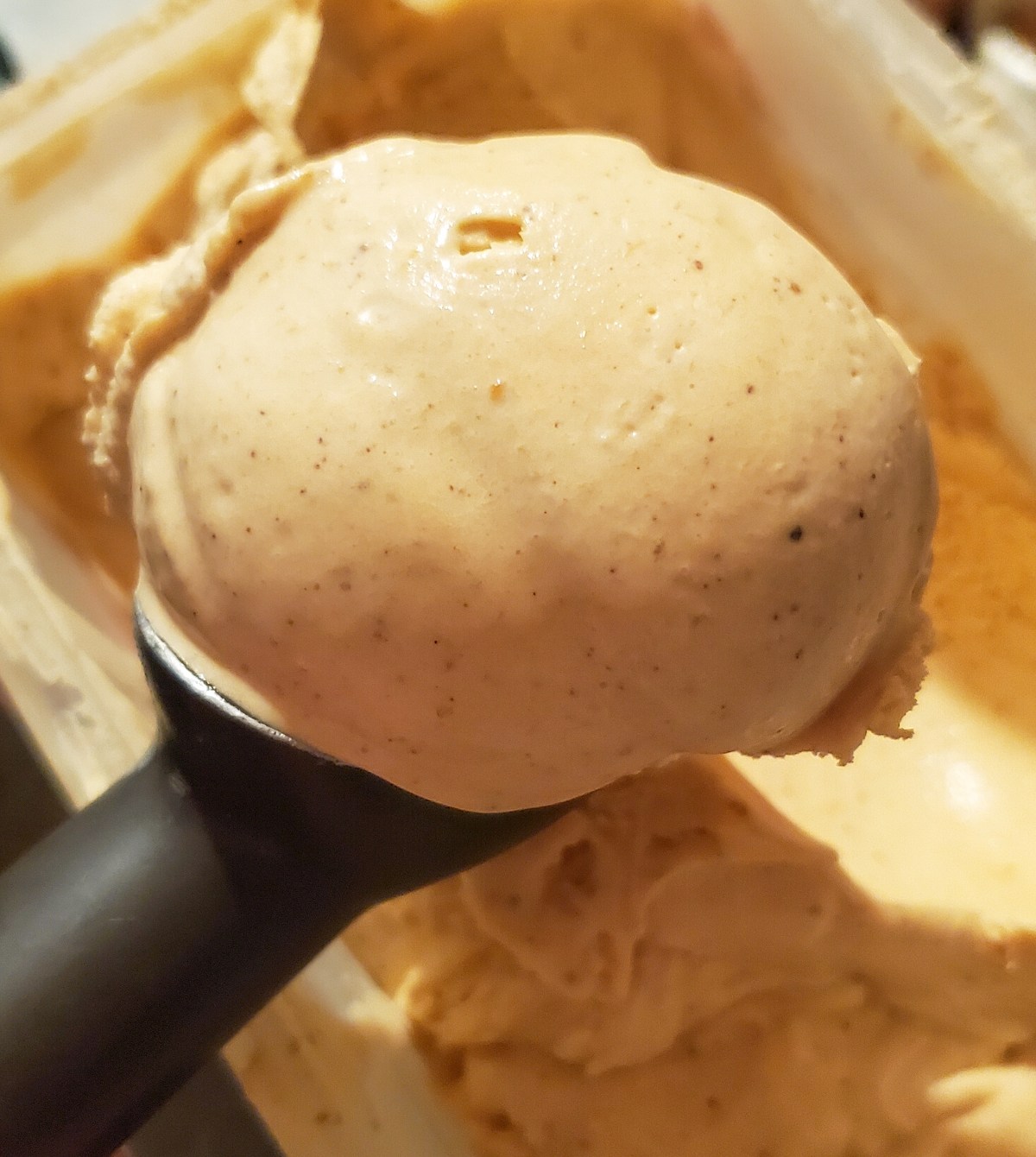 Creamy Pumpkin Ice Cream Recipe