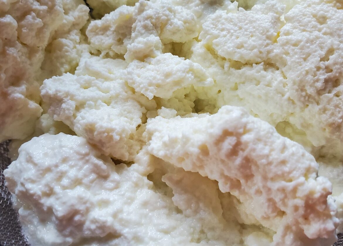 ricotta cheese recipe from cleveland cooking