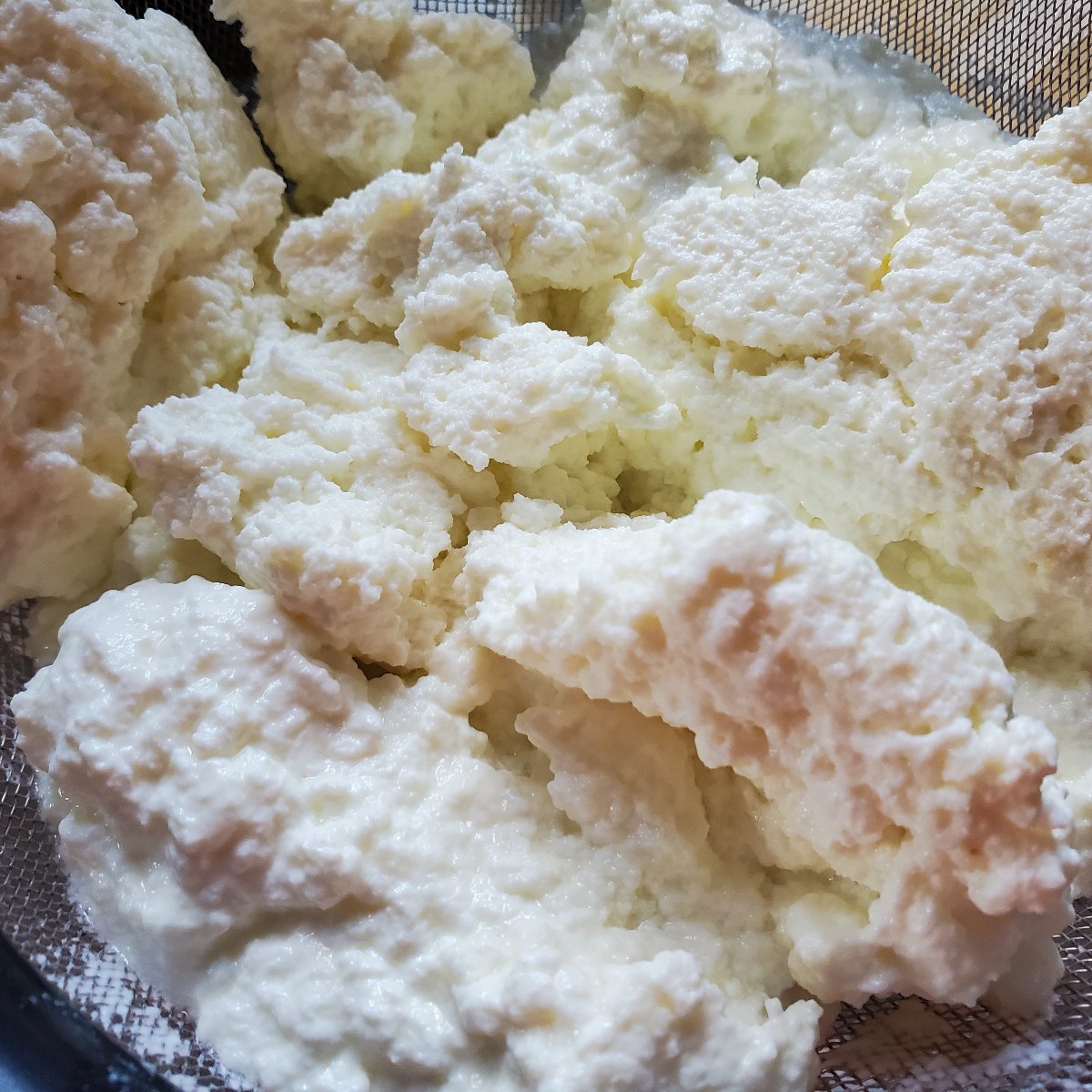 How to Make a Ricotta Cheese Recipe