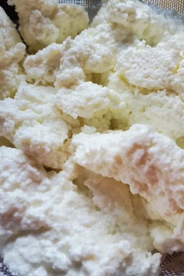 ricotta cheese recipe from cleveland cooking