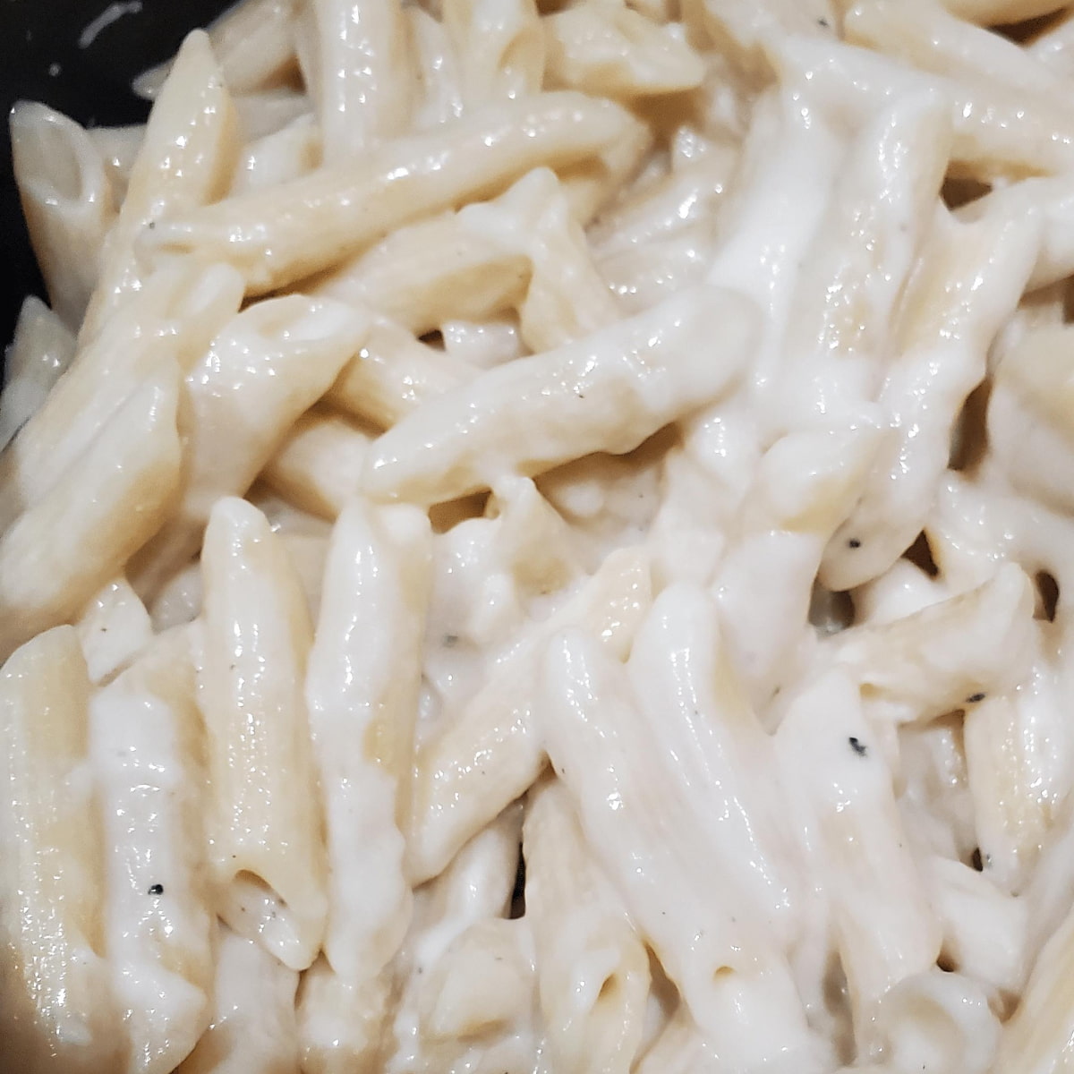 easy creamy mac and cheese recipe from cleveland cooking. pasta covered in a creamy cheese sauce.