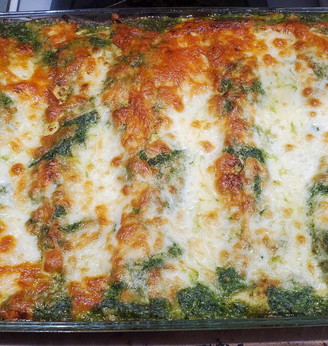 Roasted poblano enchiladas a with a chicken and cheese filling and roasted poblano cheese sauce on top.