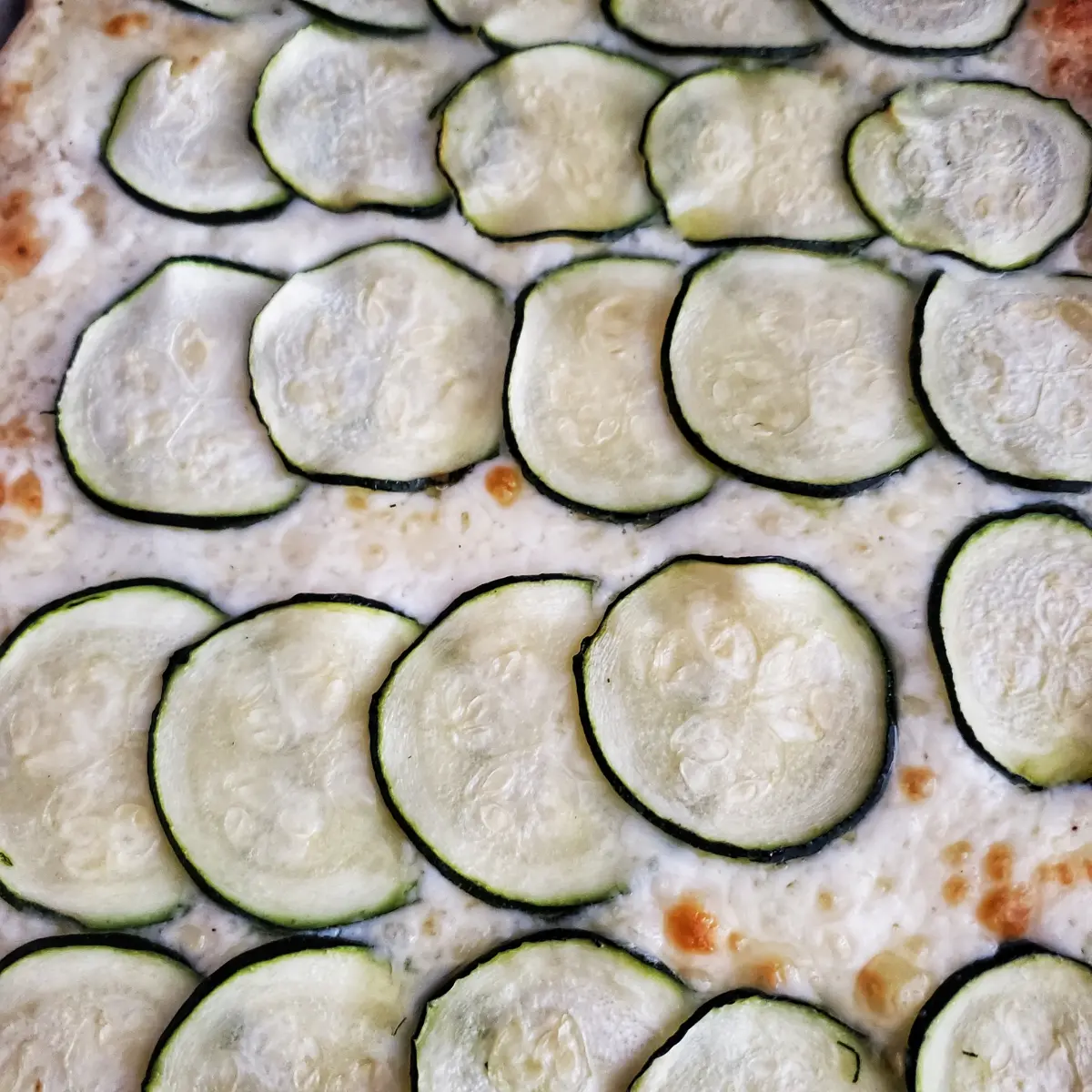zucchini pizza with garlic cream sauce from Cleveland cooking. sliced zucchini on top of a garlic cream sauce with asiago cheese.