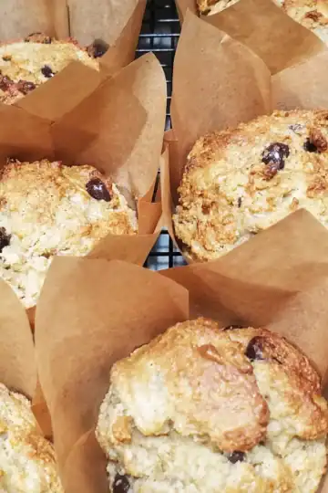 A batch of grain-free banana chocolate chip muffins resting on a black wire cooling rack. Each muffin is held in a tan tulip-shaped parchment liner that stands taller than the muffin itself. The golden-brown tops show the texture of the almond flour and the dark chocolate chips that have softened in the oven. Cleveland cooking