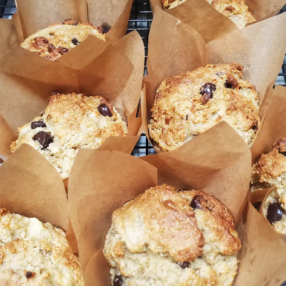 A batch of grain-free banana chocolate chip muffins resting on a black wire cooling rack. Each muffin is held in a tan tulip-shaped parchment liner that stands taller than the muffin itself. The golden-brown tops show the texture of the almond flour and the dark chocolate chips that have softened in the oven. Cleveland cooking