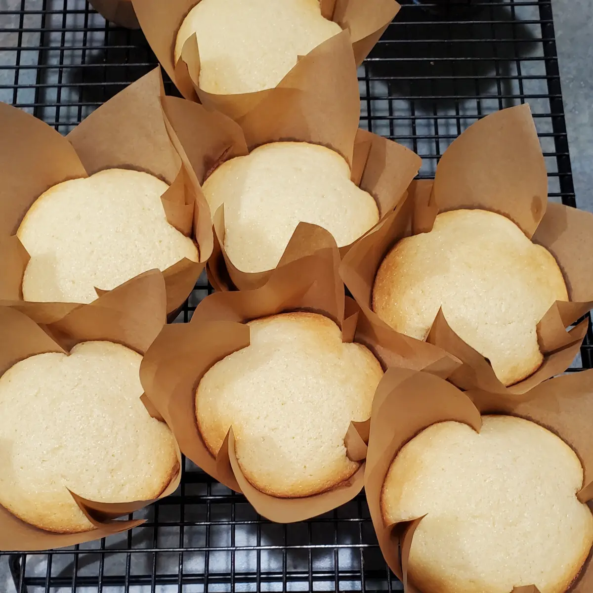 Simple Vanilla cupcakes fresh from the oven from Cleveland cooking