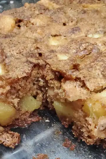 old fashioned apple Walnut cake. cake with large bits of apple.